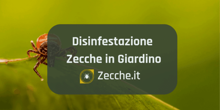 servizio disinfestazione zecche in giardino