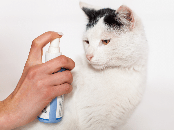 spray anti pulci gatti