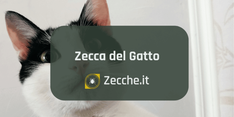 Gatto bianco e nero in primo piano con scritta Zecca del Gatto e logo Zecche.it