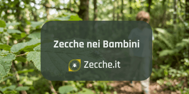 Zecca su foglia nel bosco con bambino